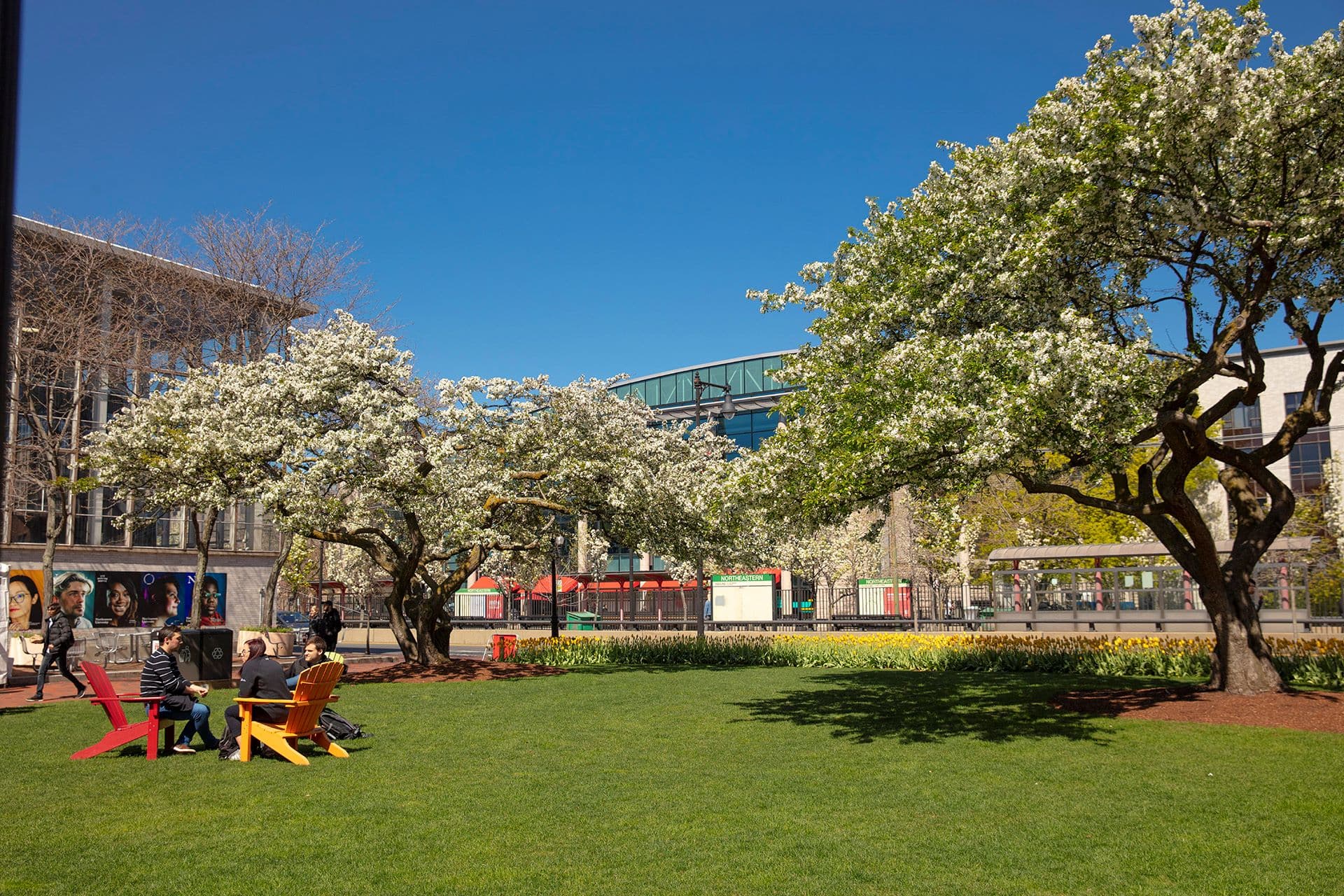 Northeastern University campus